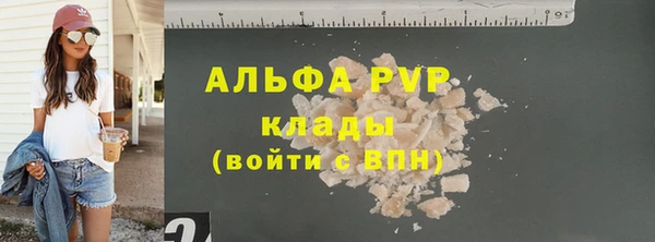 PSILOCYBIN Пересвет