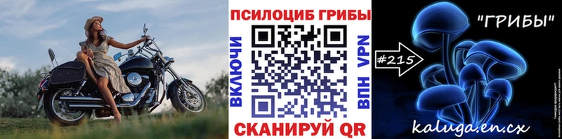 Псилоцибиновые грибы MAGIC MUSHROOMS  Тогучин 